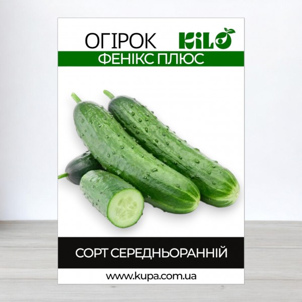 Семена огурца Феникс Плюс, 0,5кг